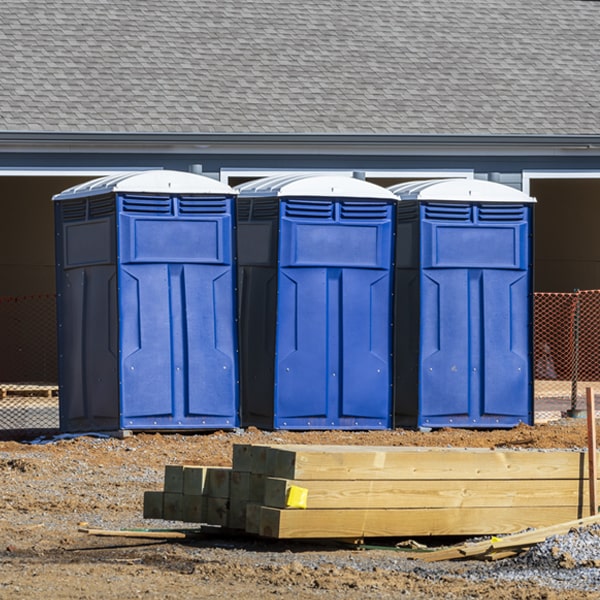 are there any restrictions on what items can be disposed of in the portable restrooms in Black Canyon City